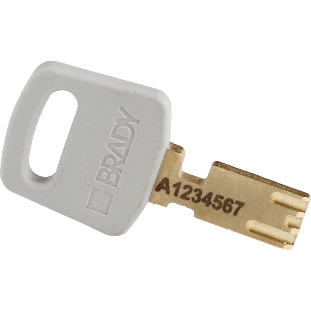 application image