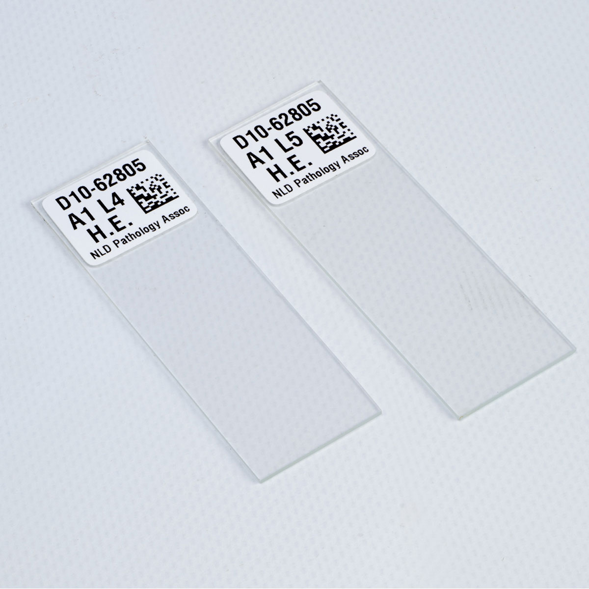application image