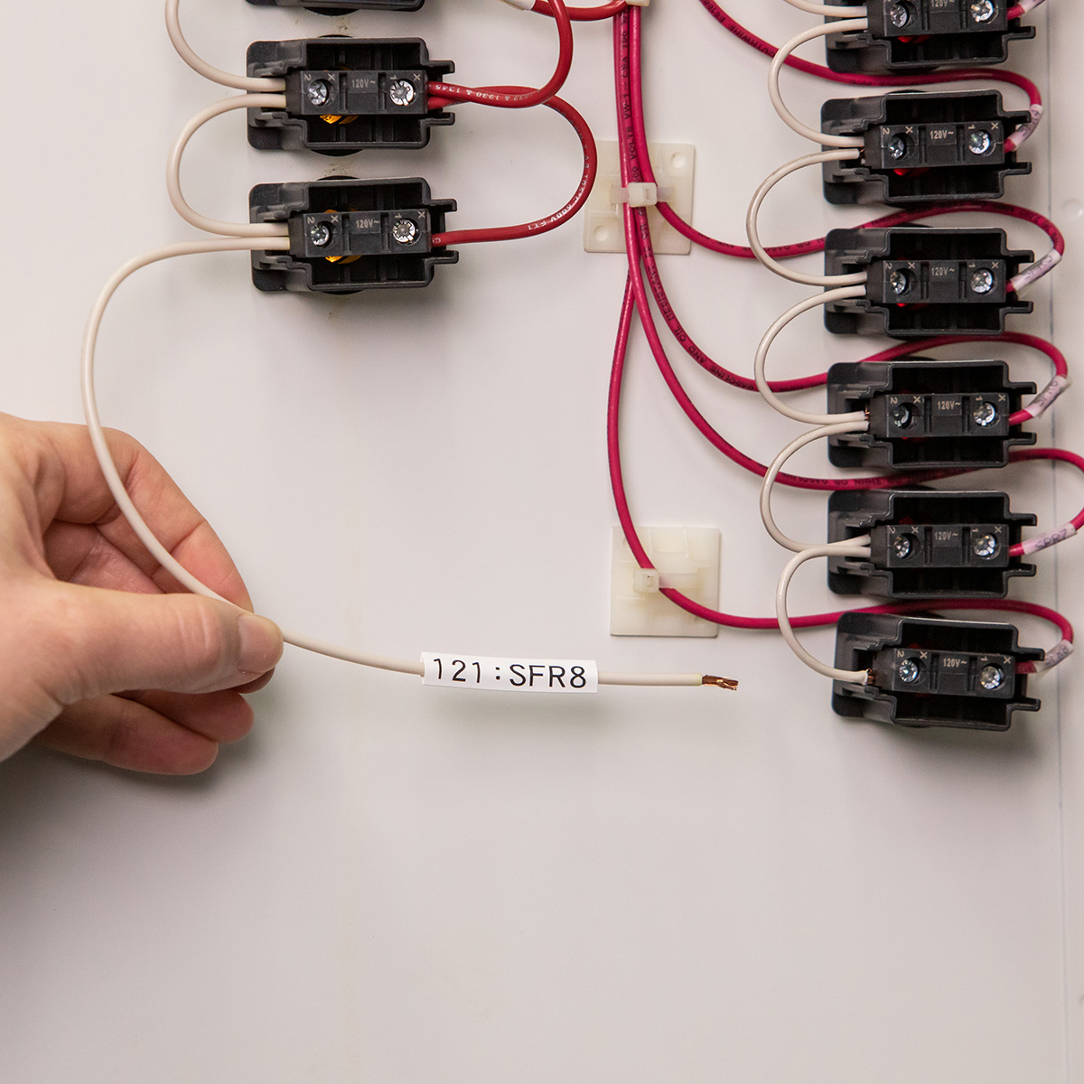 application image